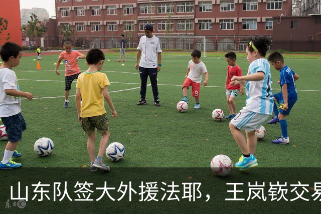 山东队签大外援法耶，王岚嵚交易困难，林庭谦回台湾省联赛