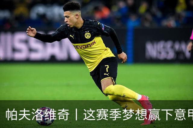 帕夫洛维奇丨这赛季梦想赢下意甲冠军